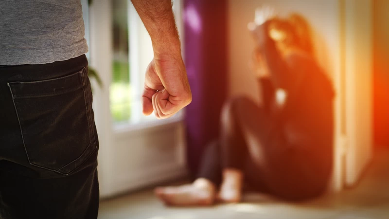 Der Haustyrannen-Fall