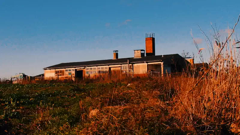 Der Schweinetrog-Fall